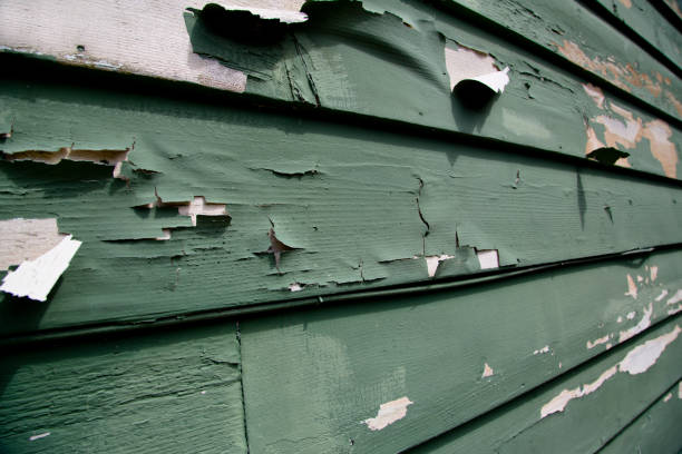 Best Wood Siding Installation  in Selmont West Selmont, AL
