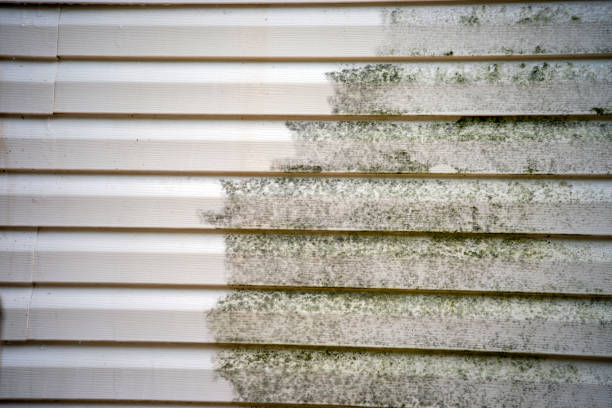 Best Composite Siding  in Selmont West Selmont, AL