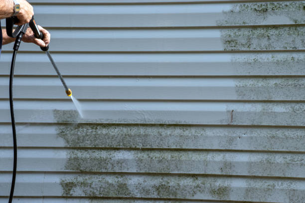 Best Siding Painting and Refinishing  in Selmont West Selmont, AL