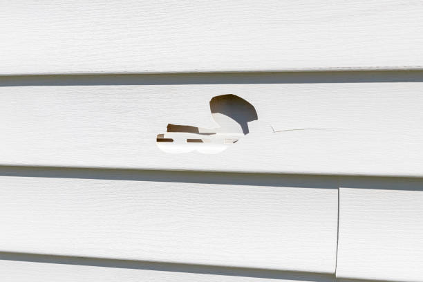 Best Weatherproofing and Sealing  in Selmont West Selmont, AL