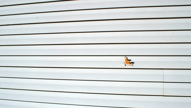 Affordable siding repair and maintenance services in Selmont West Selmont, AL