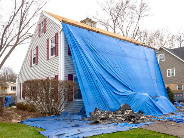 Best Brick Veneer Siding  in Selmont West Selmont, AL