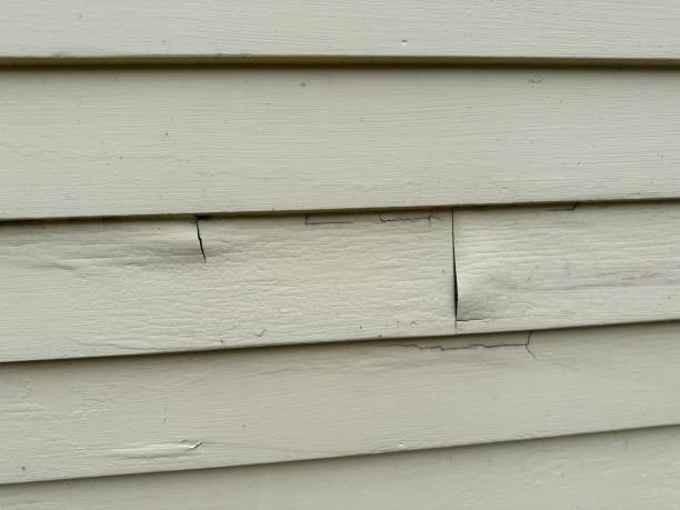 Reliable Selmont West Selmont, AL Siding Installation & Repair Solutions
